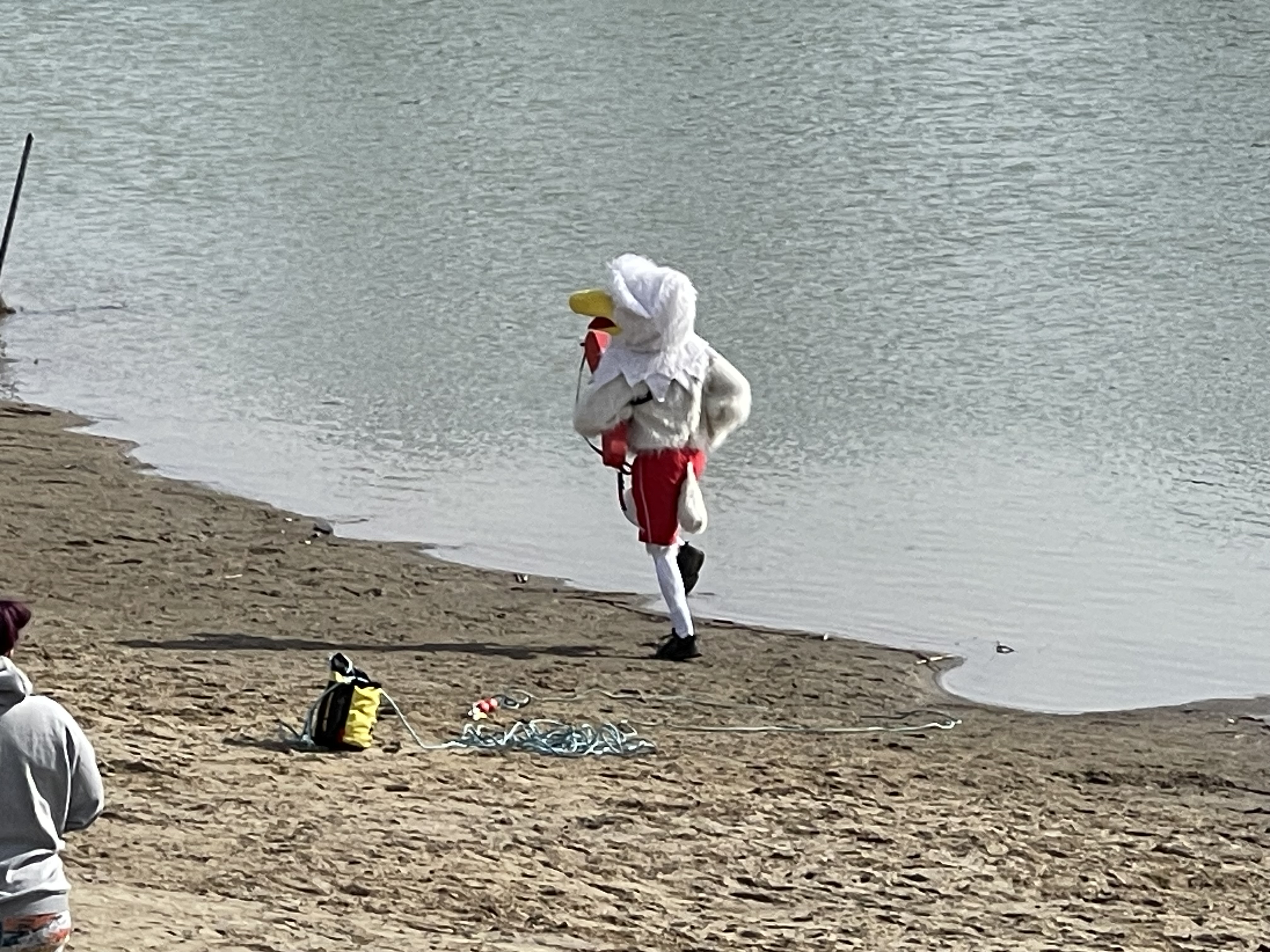 Polar Plunge - Frosty Fleet - 2024