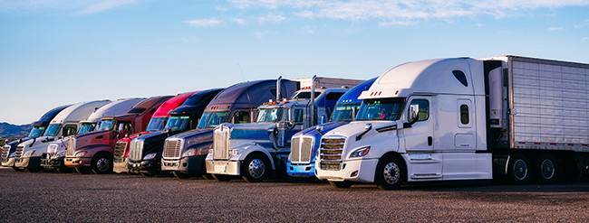 Buchanan Logistics keeps freight moving and retail shelves full.