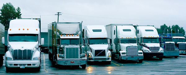 Nationwide carrier network supporting freight brokerage and transportation management services.